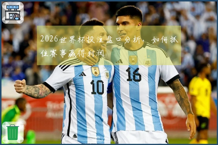 2026世界杯投注盘口分析，如何抓住赛事赢得利润